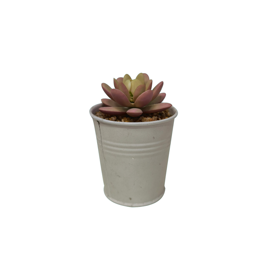 Plante ARTIFICIELLE AVEC POT EN FER 8x8x12,5cm - Blanc Soldes été vague 2