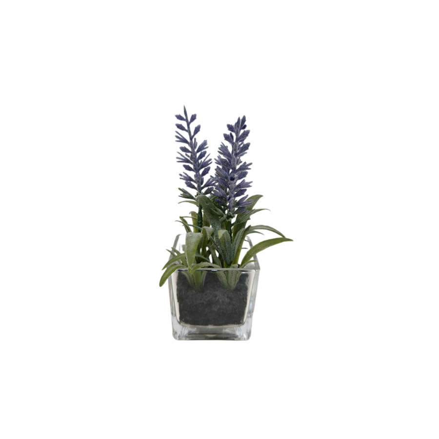 LAVANDE ARTIFICIELLE AVEC POT EN VERRE 9,5x9x15cm - Blanc Soldes été vague 2