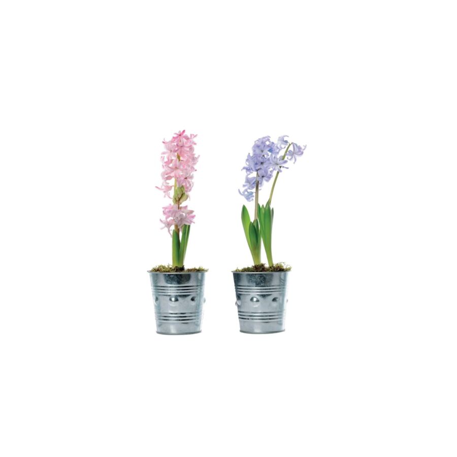 Stickers Vases - Multicouleur Papier peint