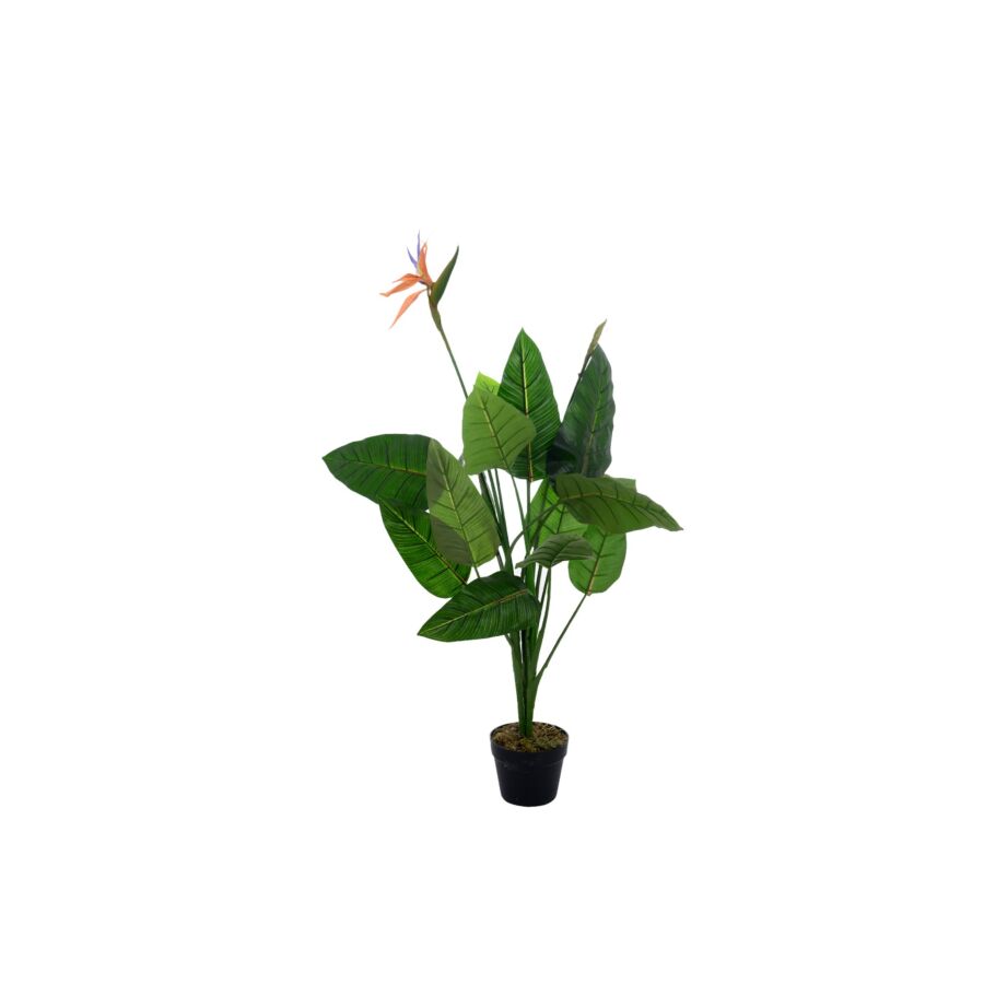 Plante STRELITZIA Plantes et fleurs artificielles