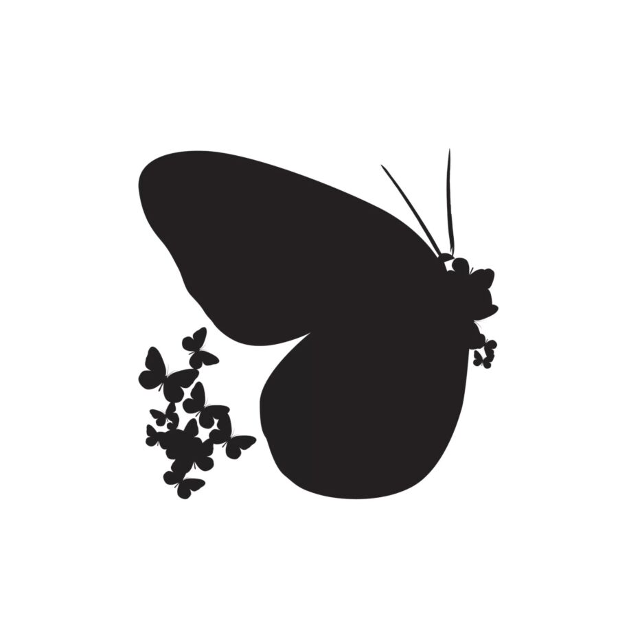 Stickers BUTTERFLIES - Noir Papier peint