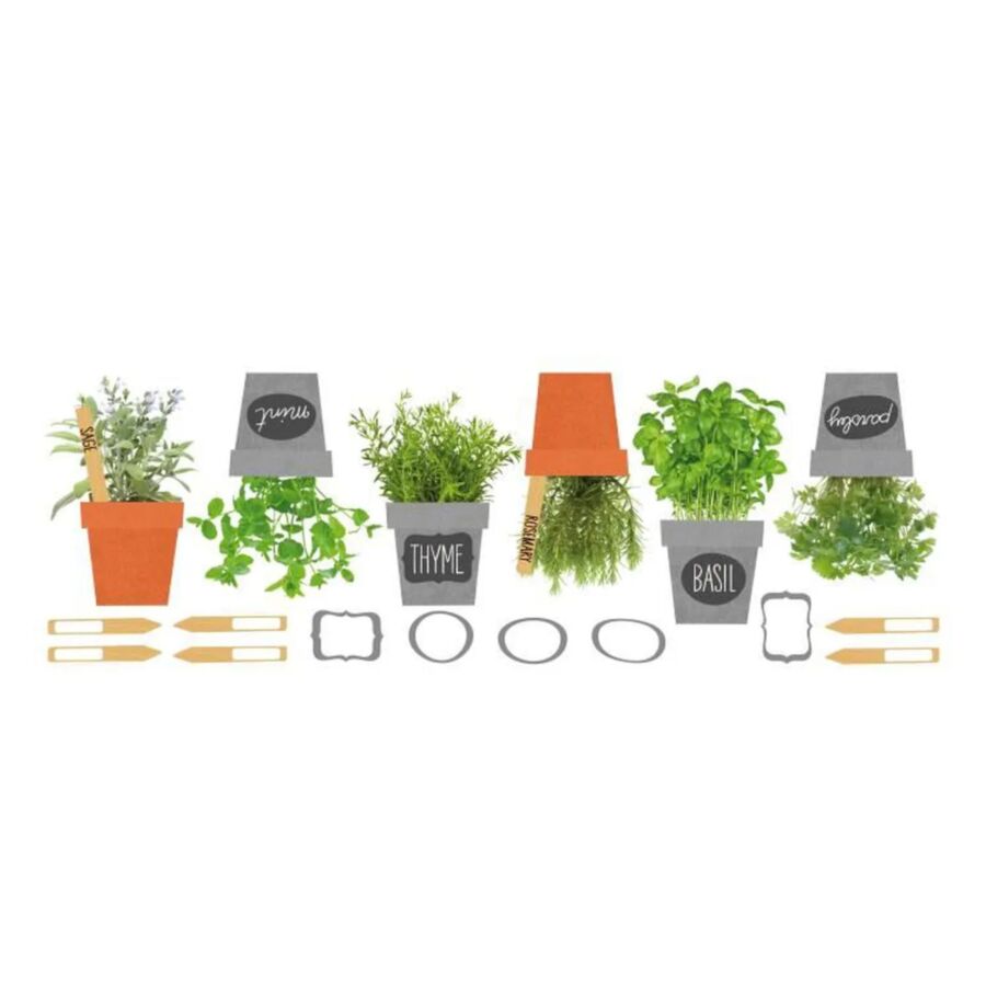 Stickers SPICES - Vert Papier peint