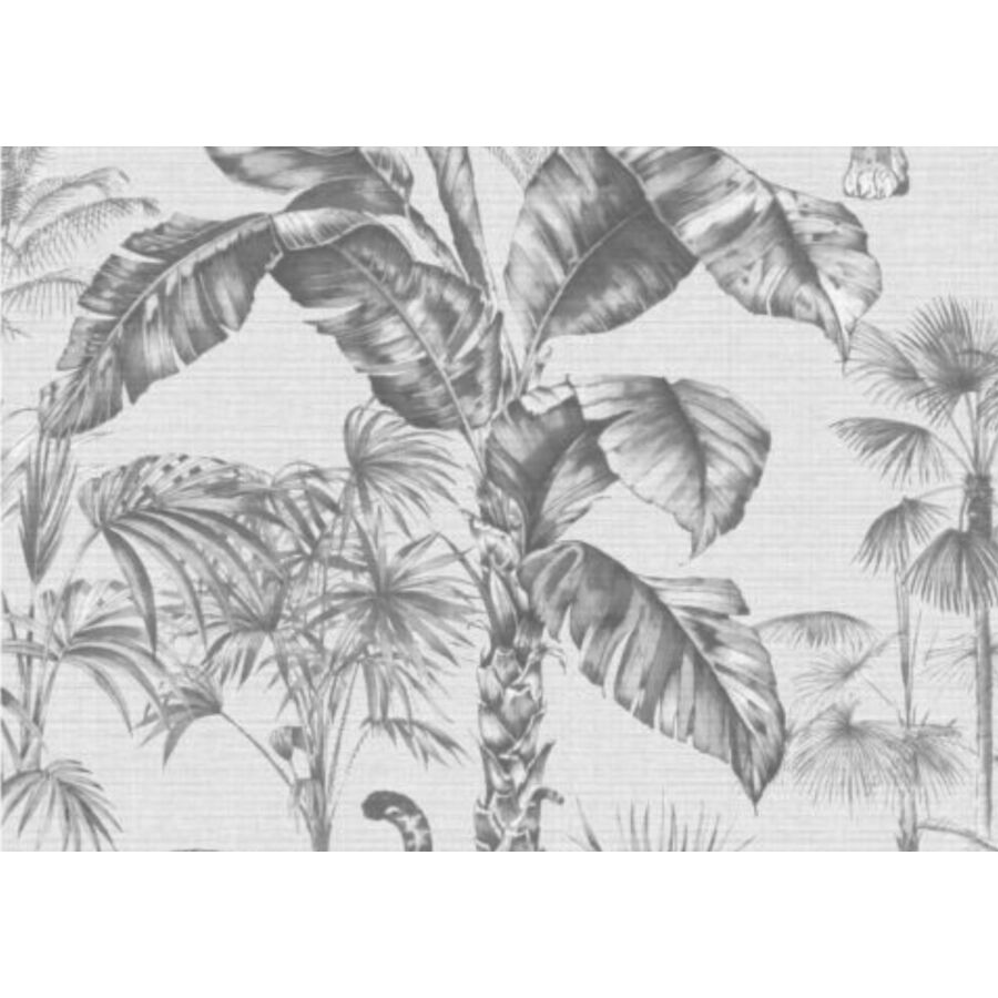 Papier Peint PARADISIO ZANZIBAR - Blanc / Gris Papier peint