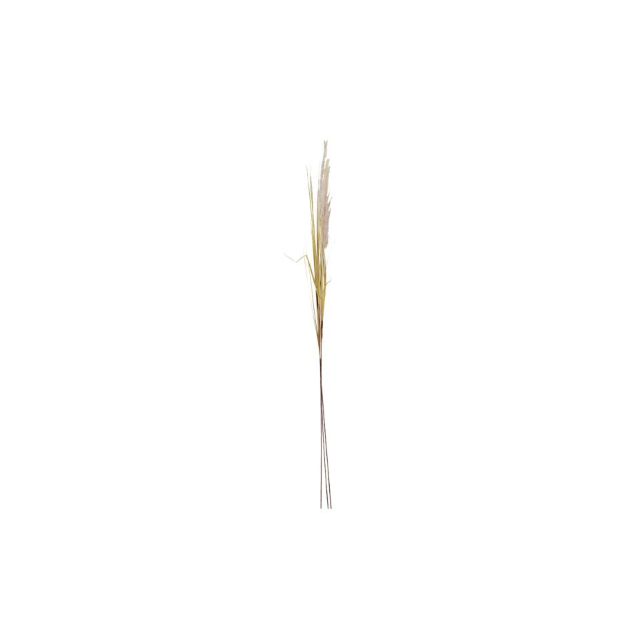 Tige Jonc Simple - Beige Plantes et fleurs artificielles