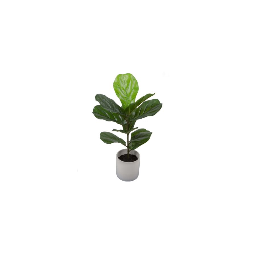 Plante Artificielle FIDDLE S Plantes et fleurs artificielles