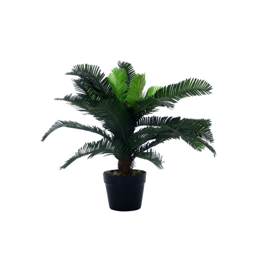 Plante Artificielle CYCAS en Pot 50cm - Vert Décoration