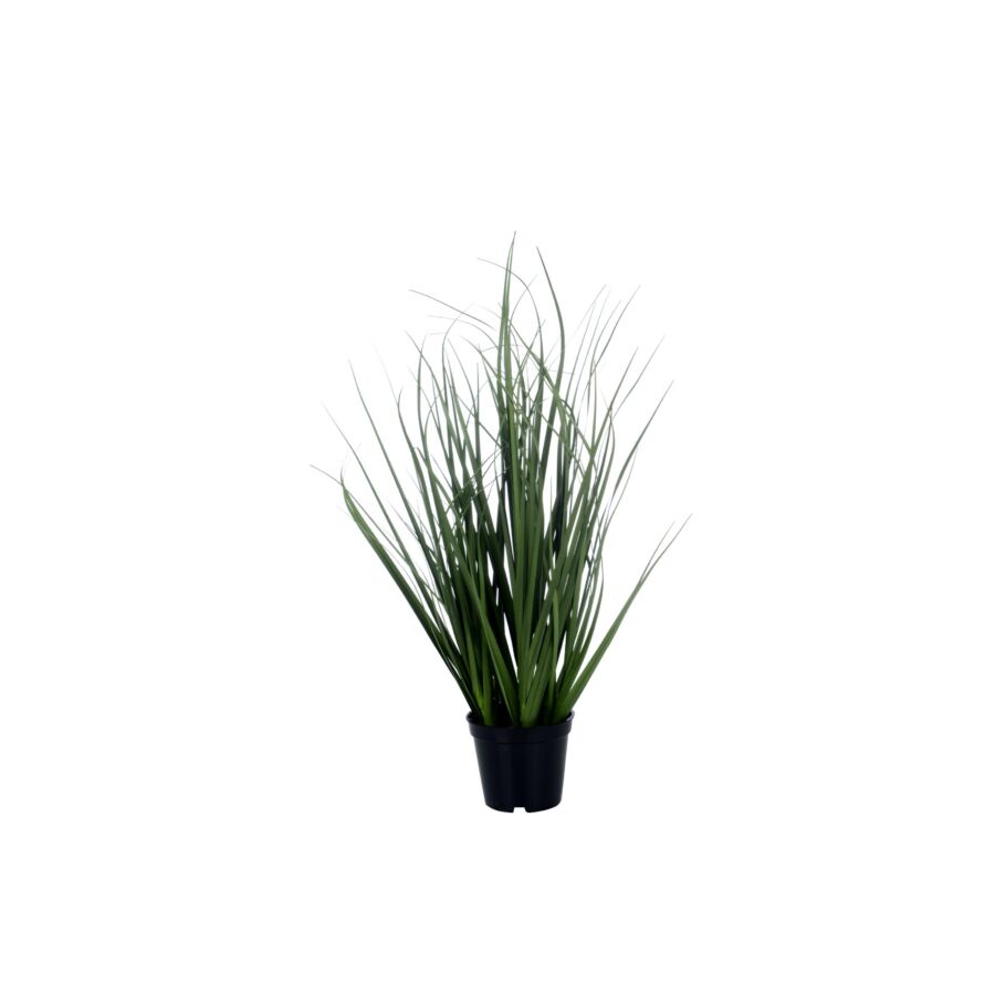 Plante Artificielle ONION GRASS en Pot 46cm - Vert Décoration