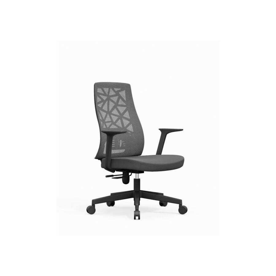 Fauteuil Sénateur BEIRUT Réglable - Gris Fauteuil Sénateur