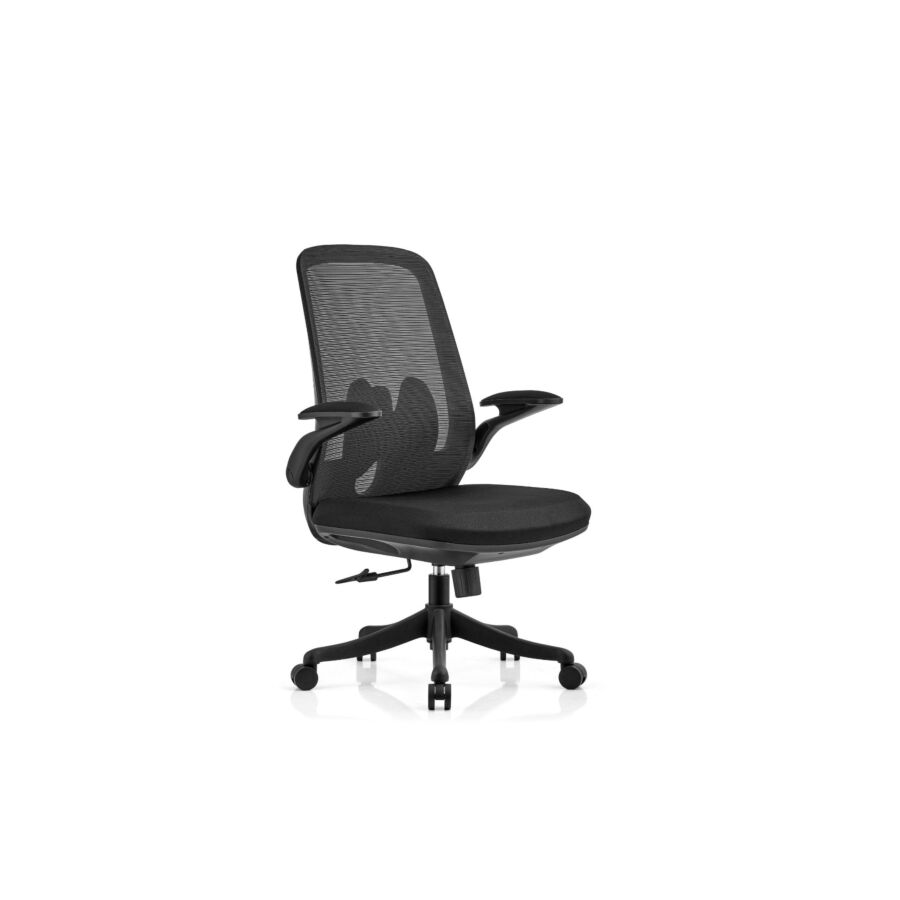 Fauteuil Sénateur 4TASK - Noir