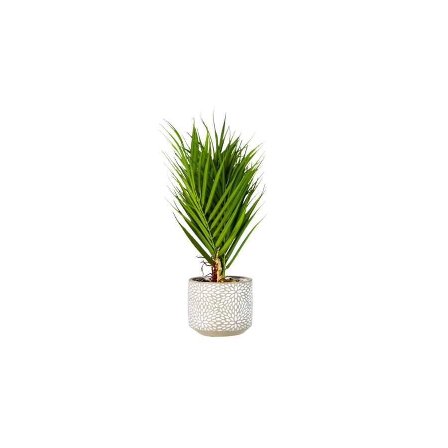 Plante Artificielle MINI PALMIER 35cm - Vert Plantes et fleurs artificielles