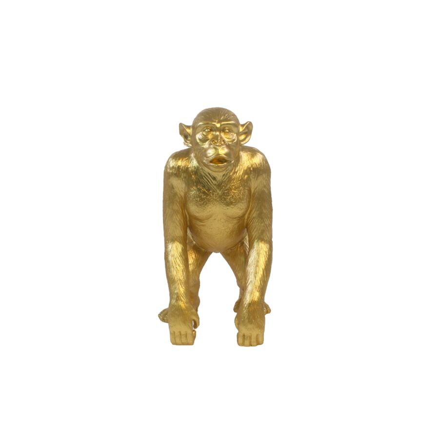 Décoratif Singe 17x12,5x28cm - Doré Objets de décoration