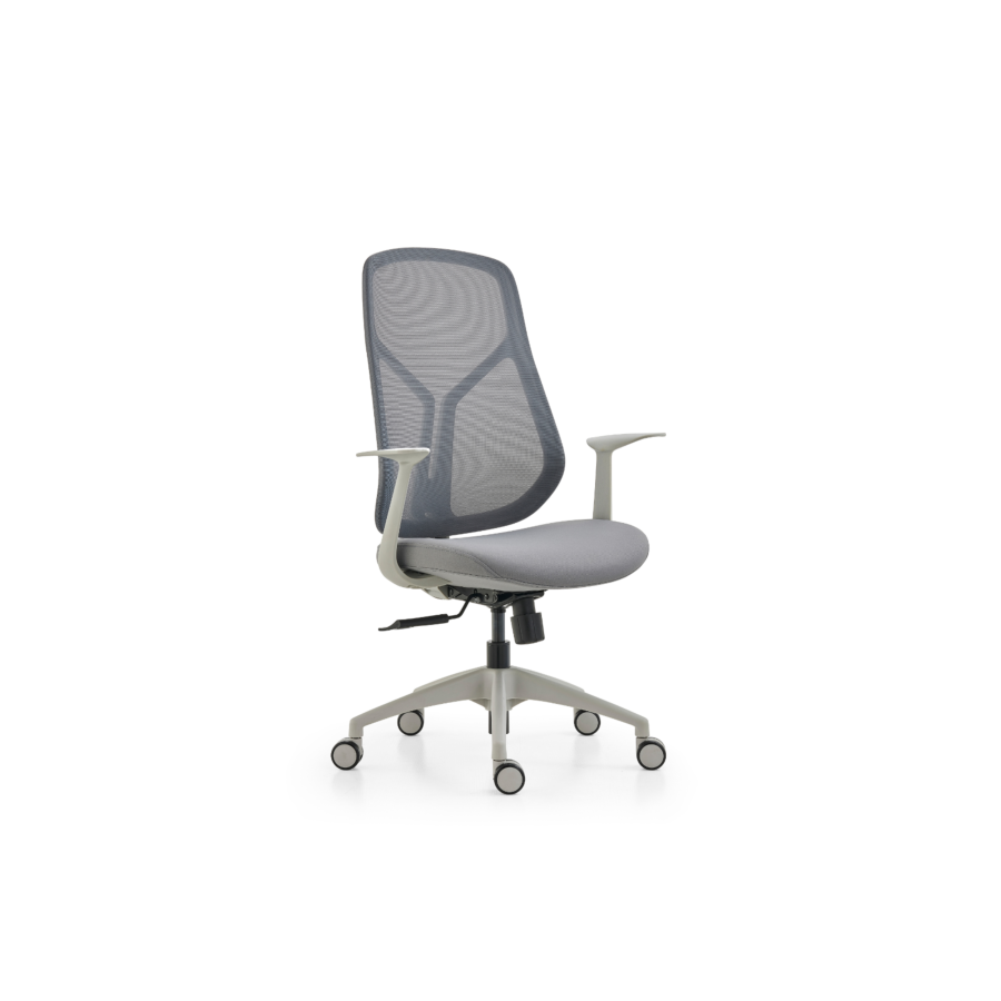 Fauteuil Sénateur PLAY COLOR Fauteuils Sénateurs