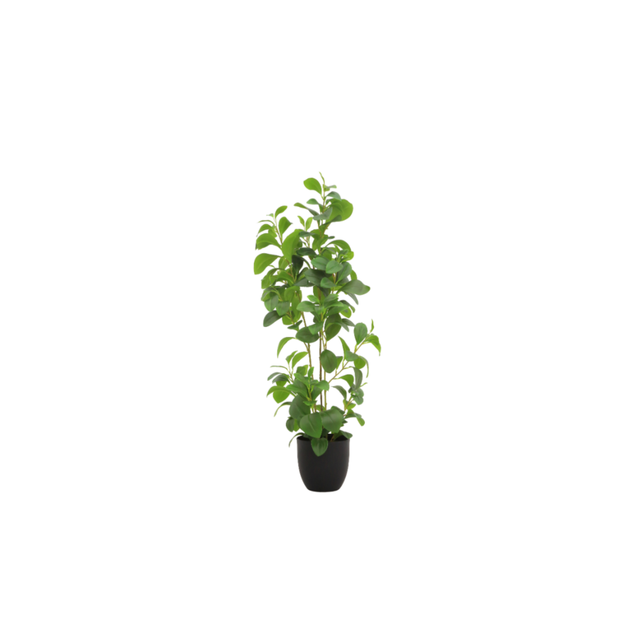 Plante Cresson de fontaine Avec Pot 91cm - Vert Plantes et fleurs artificielles