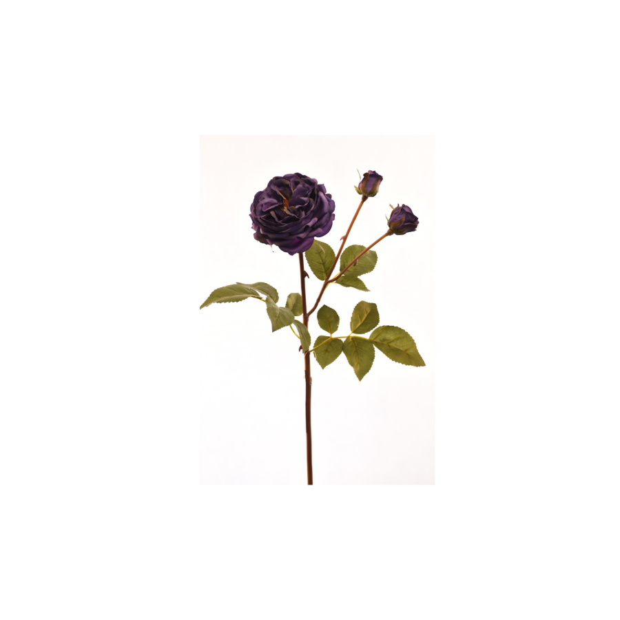 Rose 55cm - Violet Plantes et fleurs artificielles