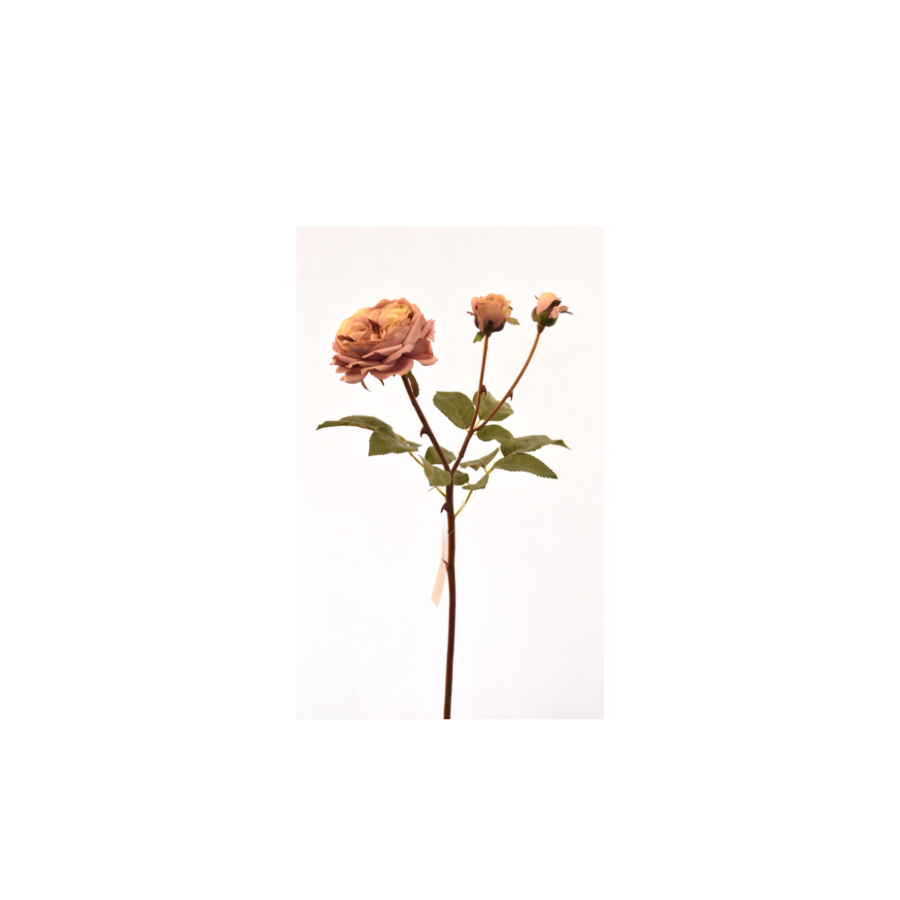 Rose 55cm - Rose Clair Plantes et fleurs artificielles