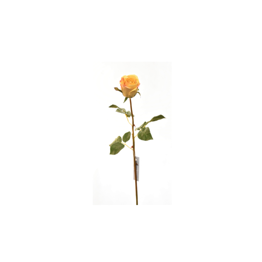 Rose 60cm - Jaune Plantes et fleurs artificielles