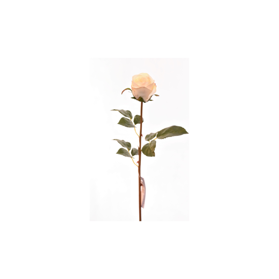 Rose 60cm - Blanche Plantes et fleurs artificielles