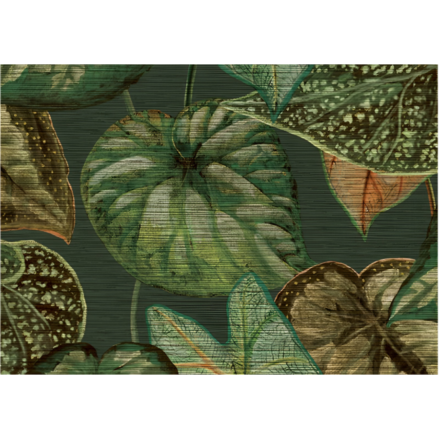 Papier Peint Tropical Leaves Vert 10m - Multicouleur Papier peint