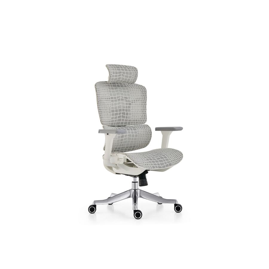 Fauteuil Président ERGOSUPPORT - Gris Clair Chaises avec accoudoir