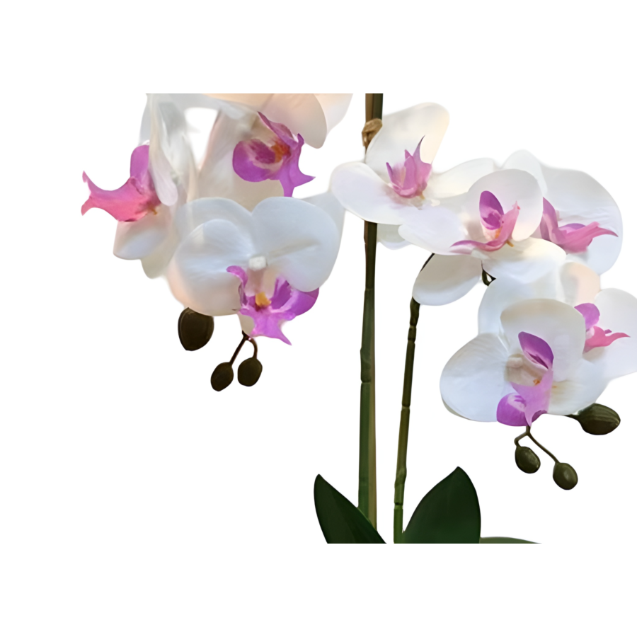 ORCHIDÉE ARTIFICIELLE EN POT 25x25x50cm - Blanc Plantes et fleurs artificielles
