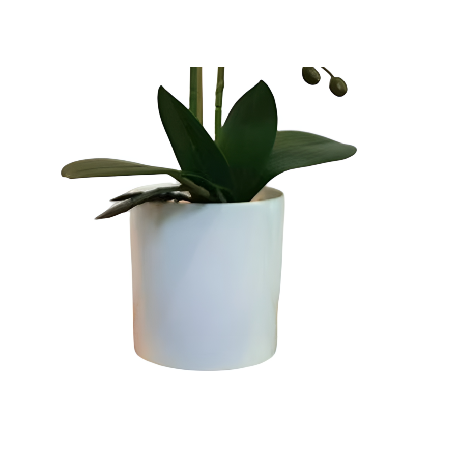 ORCHIDÉE ARTIFICIELLE EN POT 25x25x50cm - Blanc Plantes et fleurs artificielles