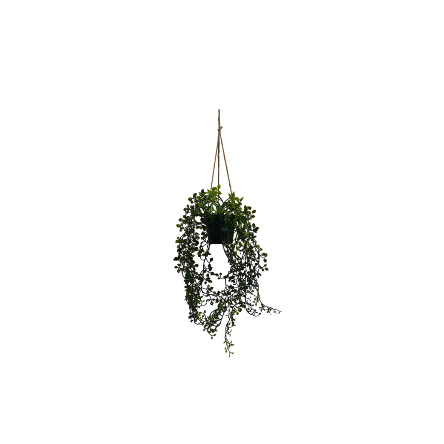 PLANTE SUSPENDUE À HERBE TOMBANTE ARTIFICIELLES 12x12x46cm - Vert Plantes et fleurs artificielles