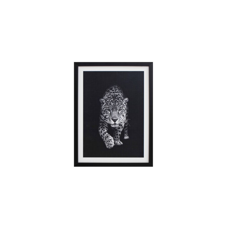 TABLEAU LE TIGRE AVEC CADRE - BLANC / NOIR Tableaux