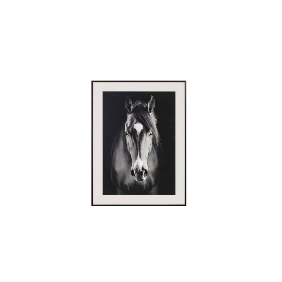 TABLEAU LE CHEVAL AVEC CADRE – BLANC / NOIR Tableaux
