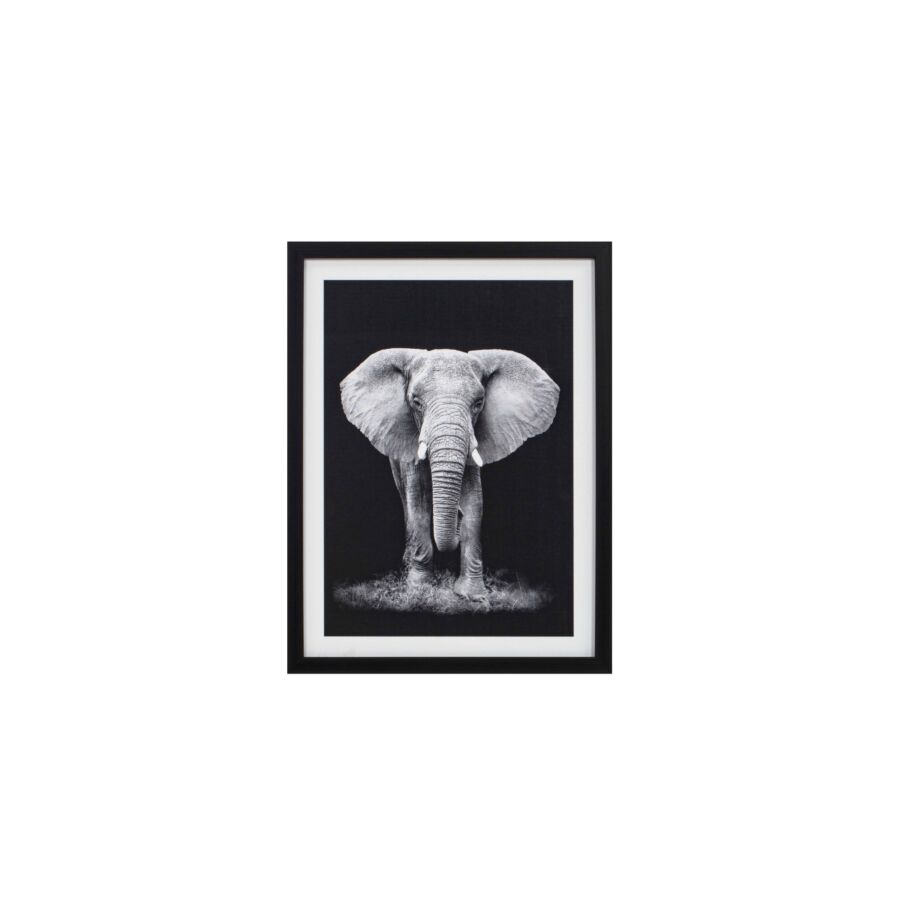 TABLEAU L'ELEPHANT AVEC CADRE - BLANC / NOIR Tableaux