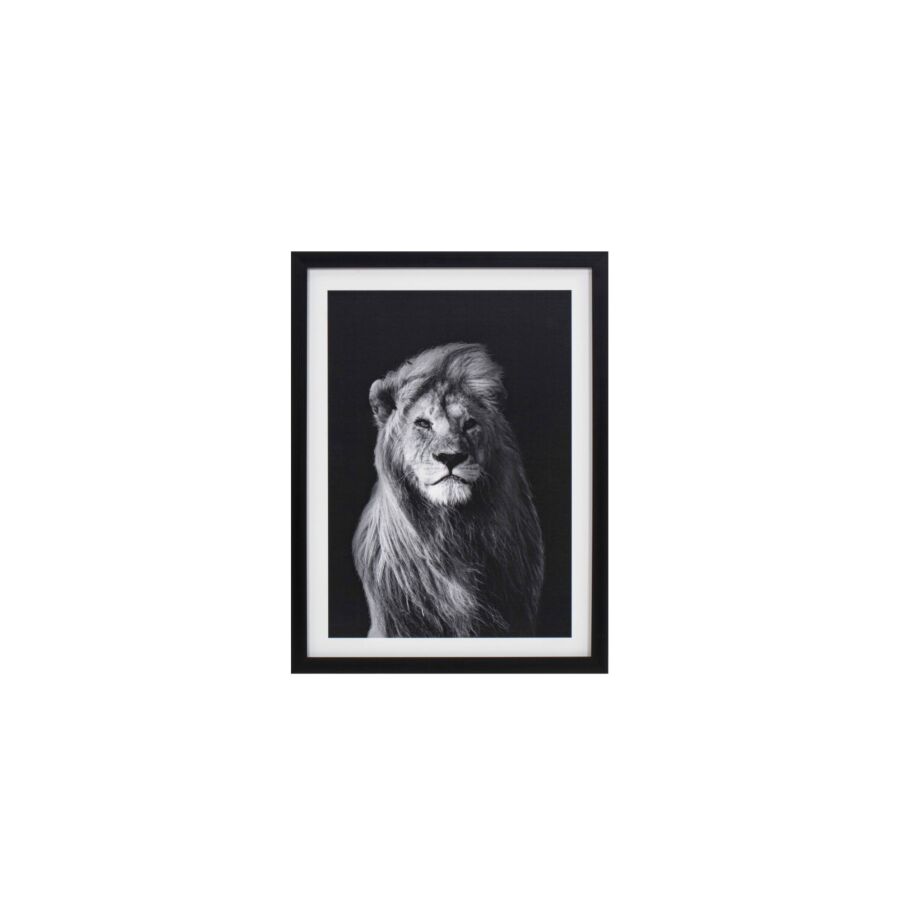 TABLEAU LE LION AVEC CADRE - BLANC / NOIR Tableaux
