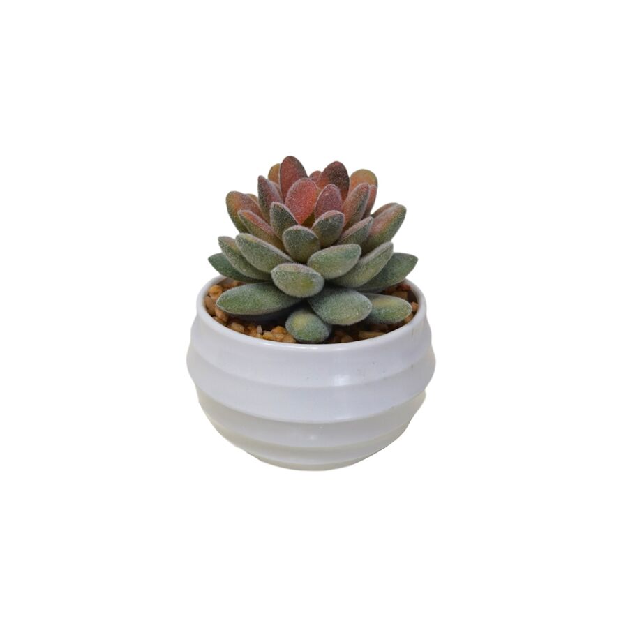 Plante ARTIFICIELLE AVEC POT EN MELAMINE 8,5x8,5x10cm - Blanc Plantes et fleurs artificielles