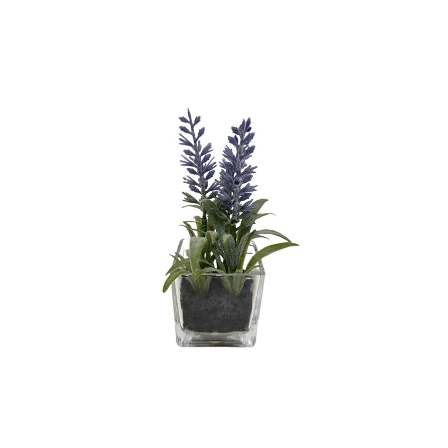 LAVANDE ARTIFICIELLE AVEC POT EN VERRE 9,5x9x15cm - Blanc Plantes et fleurs artificielles