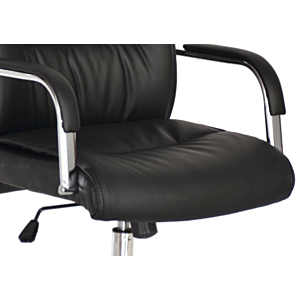Fauteuil sénateur COACH