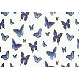 Papier Peint PAPILLONS - Bleu Accessoires