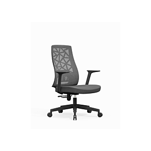 Fauteuil Sénateur BEIRUT Réglable - Gris
