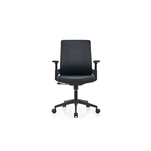 Fauteuil Sénateur BARI