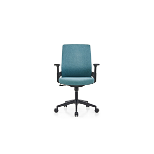 Fauteuil Sénateur Bari - Turquois