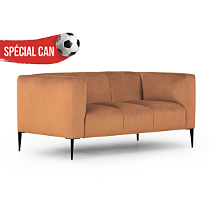 Canapé 2 Places Mabelle Spécial CAN