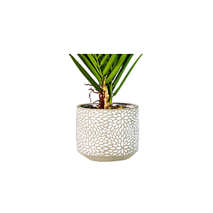 Plante Artificielle MINI PALMIER 35cm - Vert