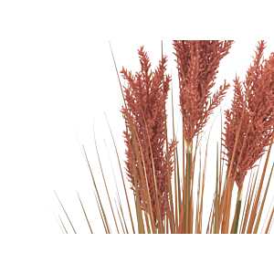 Grain de gazon avec pot 91cm - Terracota