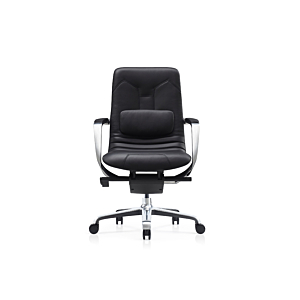 Fauteuil Sénateur DOLPHIN
