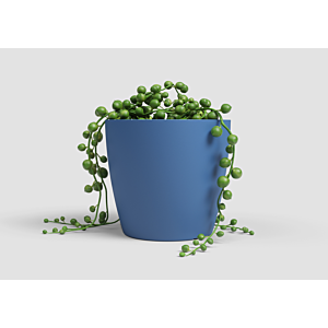Pot San remo pot 6cm - Bleu Foncé