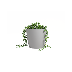 Pot San remo pot 12cm - Gris Clair