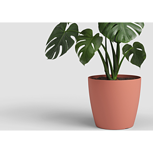 Pot San remo pot 14cm - Rose