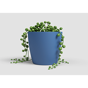 Pot San remo pot 14cm - Bleu foncé