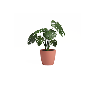 Pot San remo pot 16cm - Rose