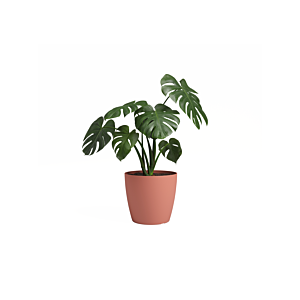 Pot San remo pot 18cm - Rose