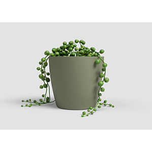 Pot San remo pot 18cm - Vert