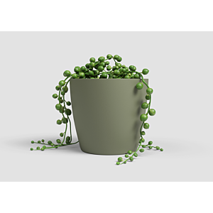 Pot San remo pot 25cm - Vert