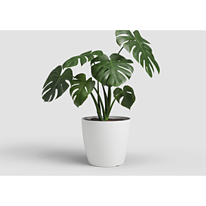 Pot San remo pot 30cm - Blanc